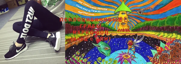 соль курить ск Щёлкино