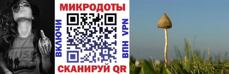 Купить где  Удачный  Галлюциногенные грибы Psilocybine cubensis 