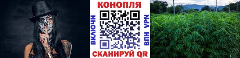 Шишки марихуана марихуана  Купить закладки  Удачный 